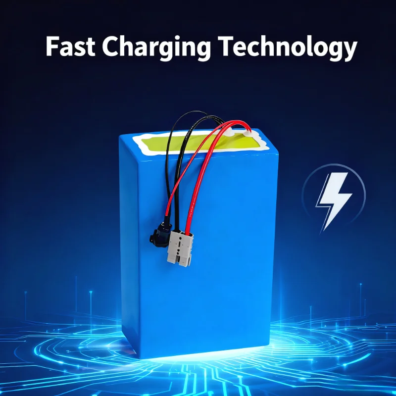BMS 72V Lithium-Ion Battery Pa - đánh giá và giá 72V 40Ah Lifepo4 Battery Pack
